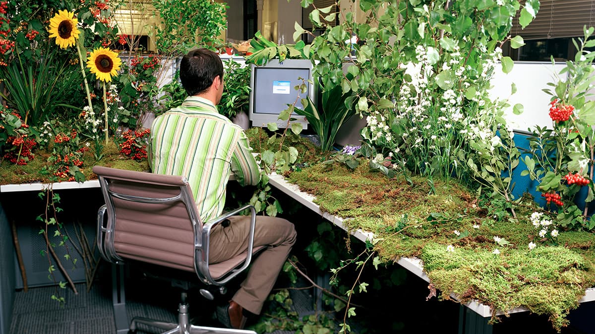 Man at desk in a cubicle jungle — where nature meets technology